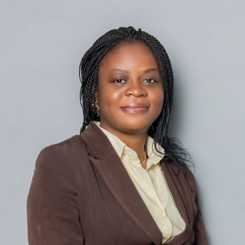 Adetokunbo Adewoyin CITF