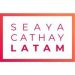 Partner Organization Seaya Cathay Latam image of 