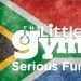 Venture Profile The Little Gym South Africa image of TLG Logo South Africa