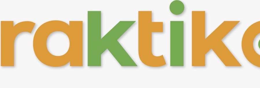 Cover image of Praktiko Cia. Ltda., Services métier venture on VC4A