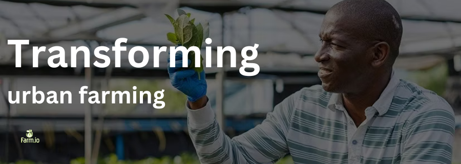 Cover image of Farmio, Agribusiness venture on VC4A