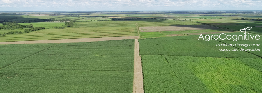 Cover image of AgroCognitive, Agribusiness venture on VC4A