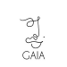 Venture Profile GAIA Africa image of Untitled Design