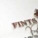 Venture Profile Fints Fashion image of FB IMG