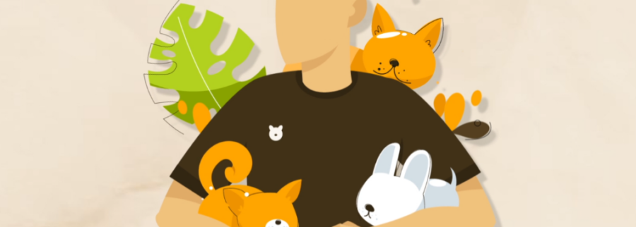 Cover image of My Pet World, E-commerce venture on VC4A
