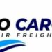 Venture Profile Togo Cargo image of Logo