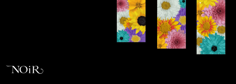 Cover image of Noir Diseño Alternativo SAPI de CV, Clothing and textiles venture on VC4A