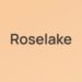 Partner Organization Roselake Ventures image of 