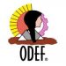Partner Organization ODEF ONGD imagen de 
