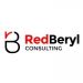 Partner Organization Red Beryl Consulting image of 