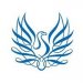 Partner Organization Coventry University’s Africa Hub image de 