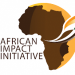 Partner Organization African Impact Initiative imagen de AIC