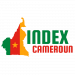 Venture Profile Index Cameroun image of Index Logo