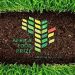 Partner Program Africa Food Prize 2023 imagen de N