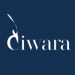 Partner Organization Ciwara Capital image of Screenshot