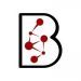 Partner Organization BKR Capital image of Bkr Logo