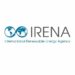 Partner Organization International Renewable Energy Agency (IRENA) image of N