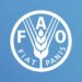 Partner Program Youth Hackathon for Green Low-Carbon Agriculture 2023 imagen de N