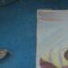 Venture Profile GreenTech Solar Firm image of IMG