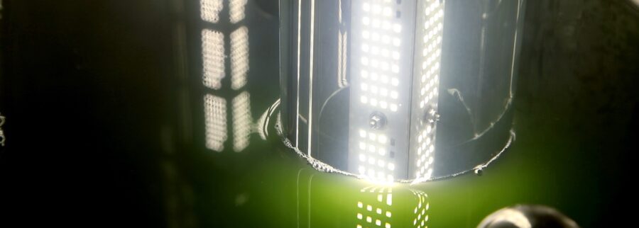 Cover image of Algotec, Agritech venture on VC4A