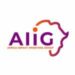 Africa Impact Investing Group - Logo