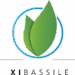Venture Perfil Xi Bassile imagen de XI BASSILE Logo
