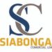 Venture Profile Siabonga Comercial LTDA image of B