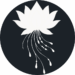 Venture Profile Spiritbulb LTD image of Favicon