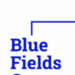 Venture Profile Blue Fields image of Logo Color