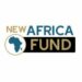 Partner Organization The New Africa Fund image of 