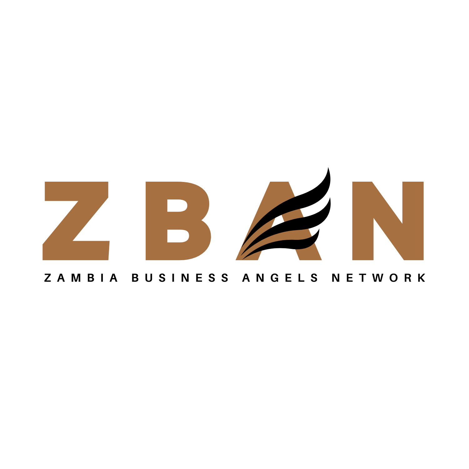 Zambia Business Angel Network