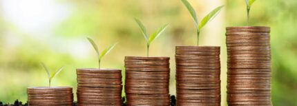 Course Profile Finance your business image of Finance Your Business
